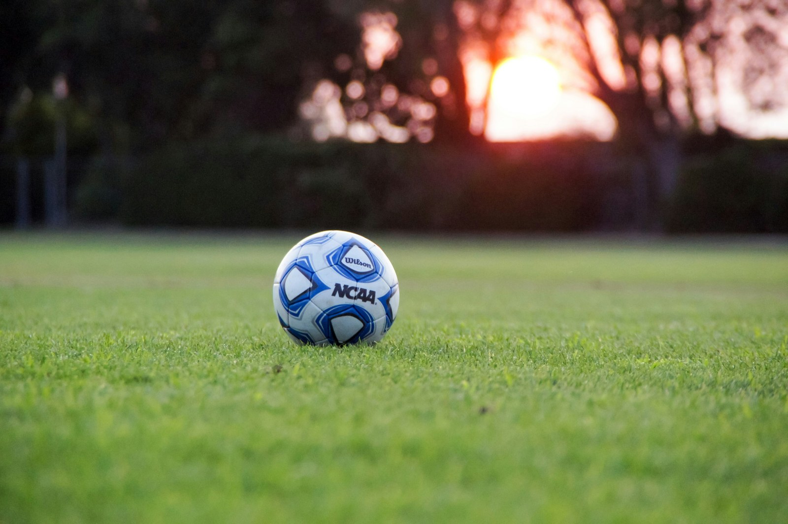 伦纳德：打猛龙那场我就伤到了手腕，这些天一直在坚持｜半岛体育 — 封面配图